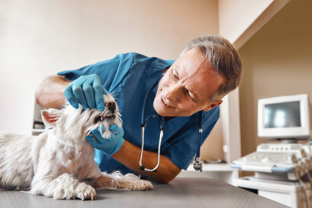 Best Emergency Root Canal Treatment in North Arlington, NJ