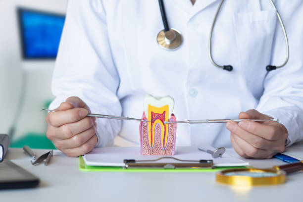 Best Emergency Dental Care for Broken or Chipped Teeth in North Arlington, NJ